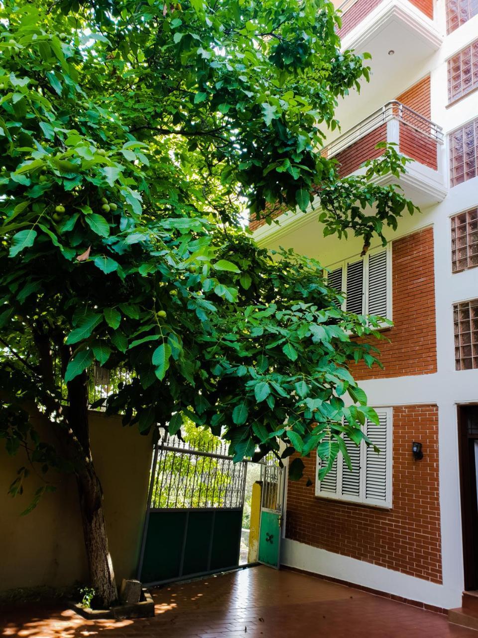 Lux Apartments Vlore Ngoại thất bức ảnh